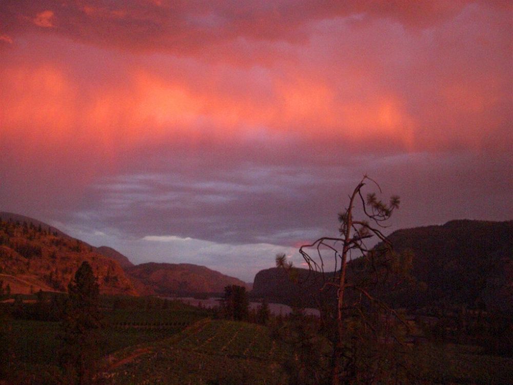 Bighorn Ridge Guesthouse Okanagan Falls Exteriör bild
