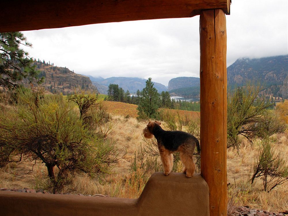 Bighorn Ridge Guesthouse Okanagan Falls Exteriör bild