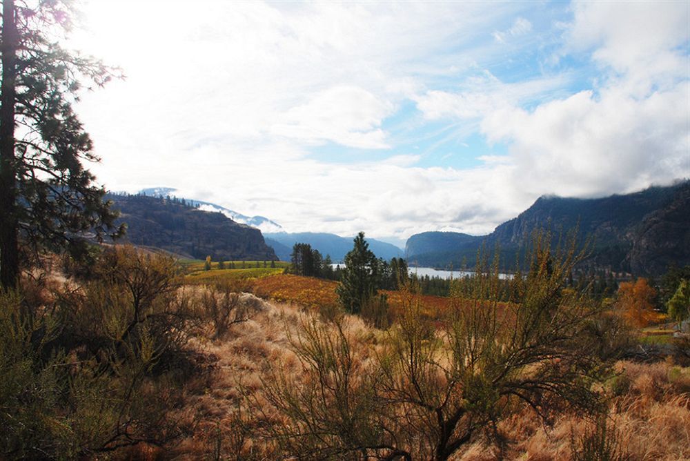 Bighorn Ridge Guesthouse Okanagan Falls Exteriör bild