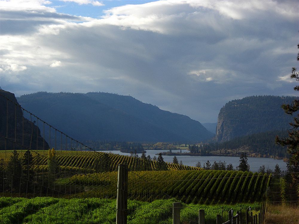 Bighorn Ridge Guesthouse Okanagan Falls Exteriör bild