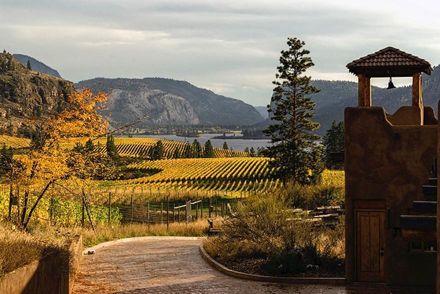 Bighorn Ridge Guesthouse Okanagan Falls Exteriör bild