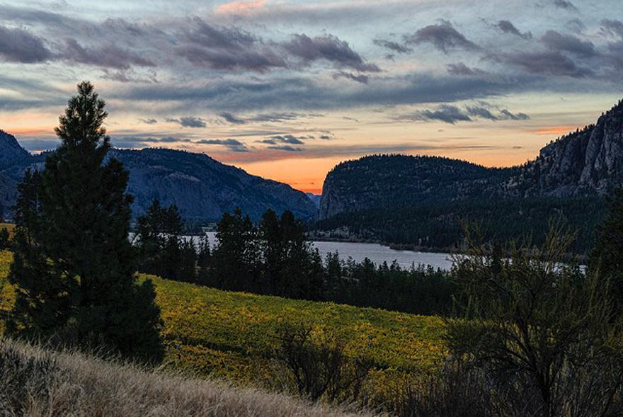 Bighorn Ridge Guesthouse Okanagan Falls Exteriör bild